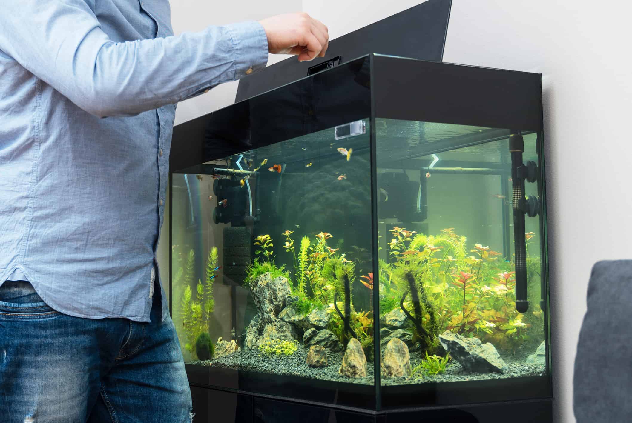 Mini Aquarium 220-240V, tortue poisson pompe à oxygène externe
